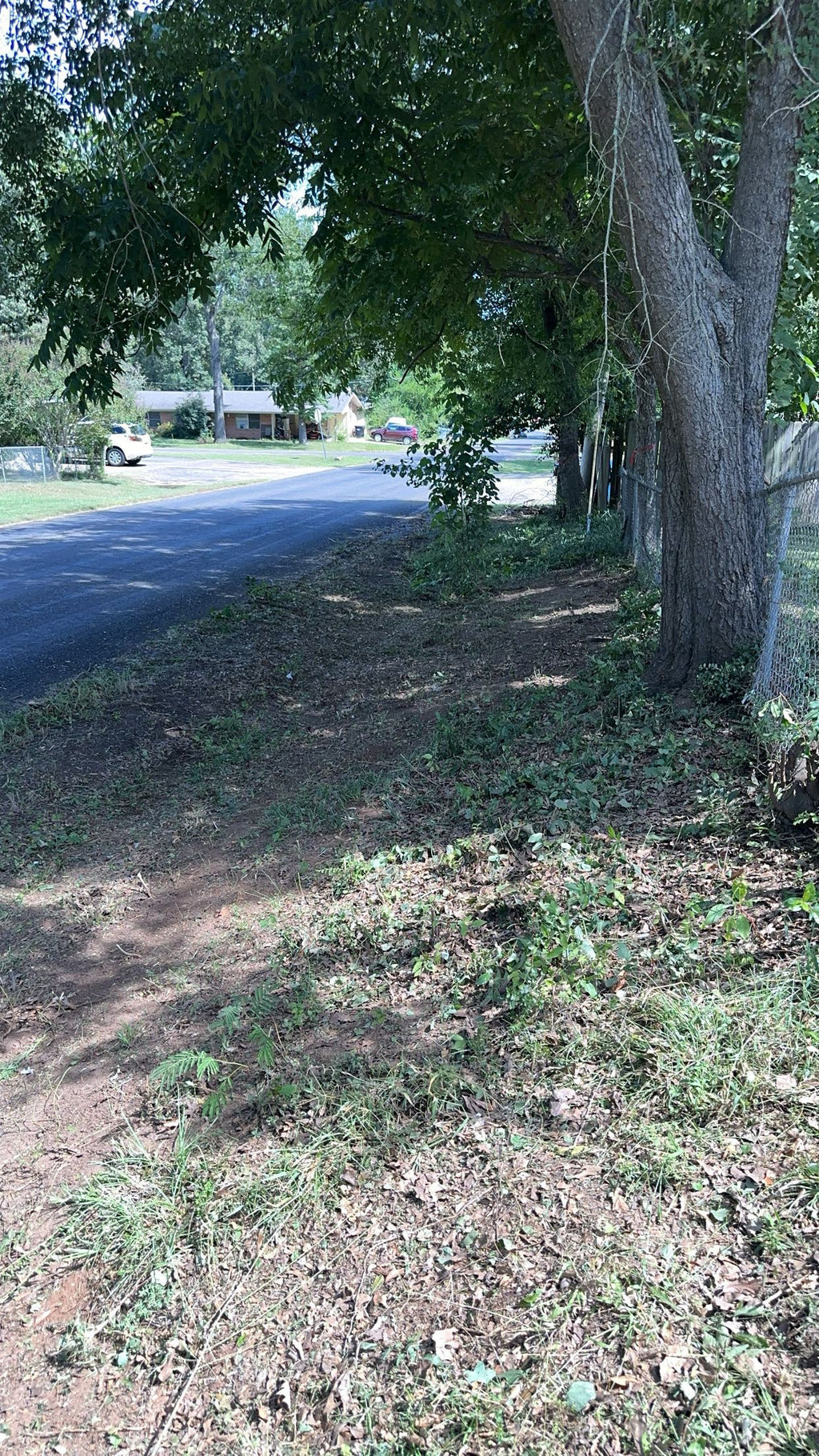 Small tree and brush removal.