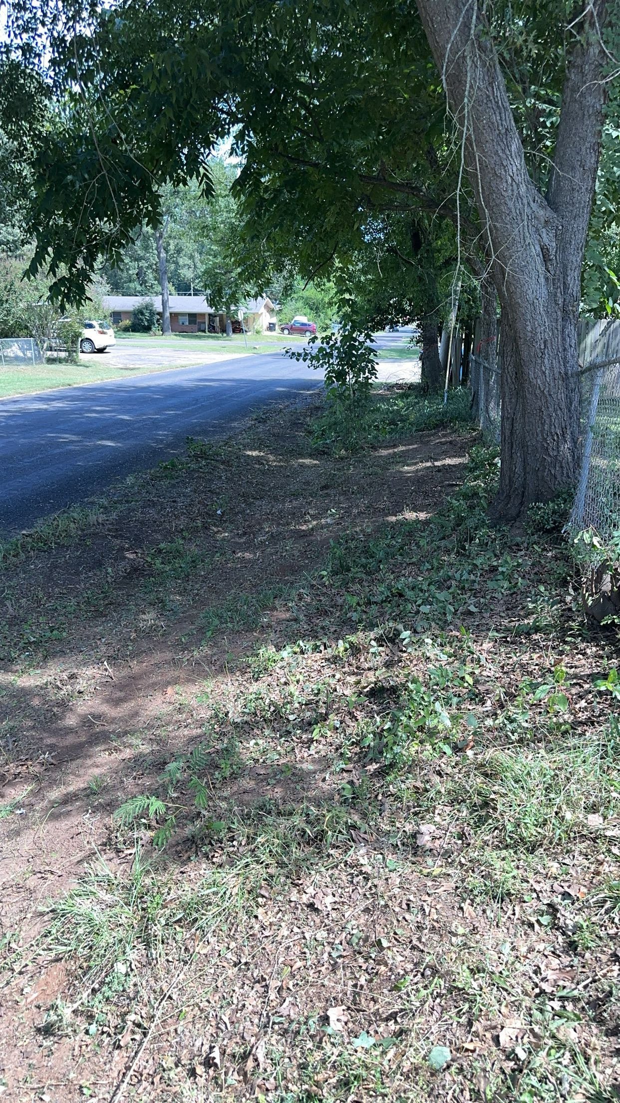Small tree and brush removal.